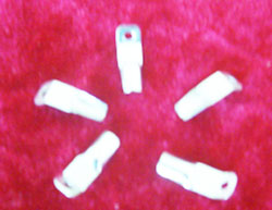 Electronic Accessories