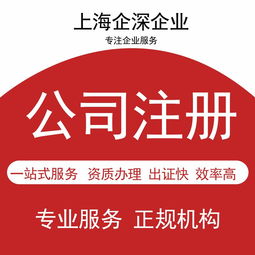 青浦區(qū)代理記賬服務(wù) 選擇專(zhuān)業(yè)財(cái)務(wù)公司助您高效經(jīng)營(yíng)